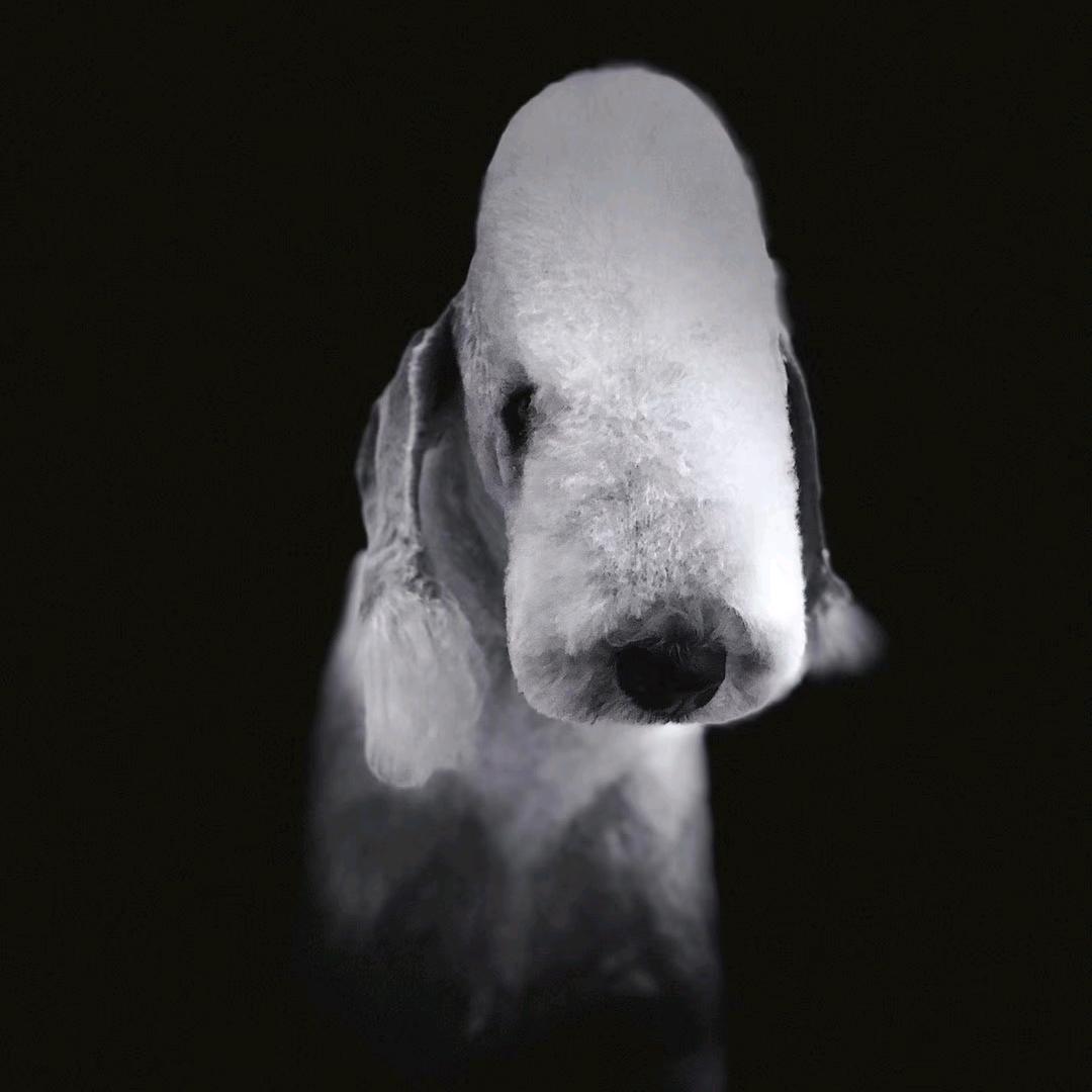 ٨ـﮩﮩ٨ـ9649ﮩ٨ـﮩﮩ