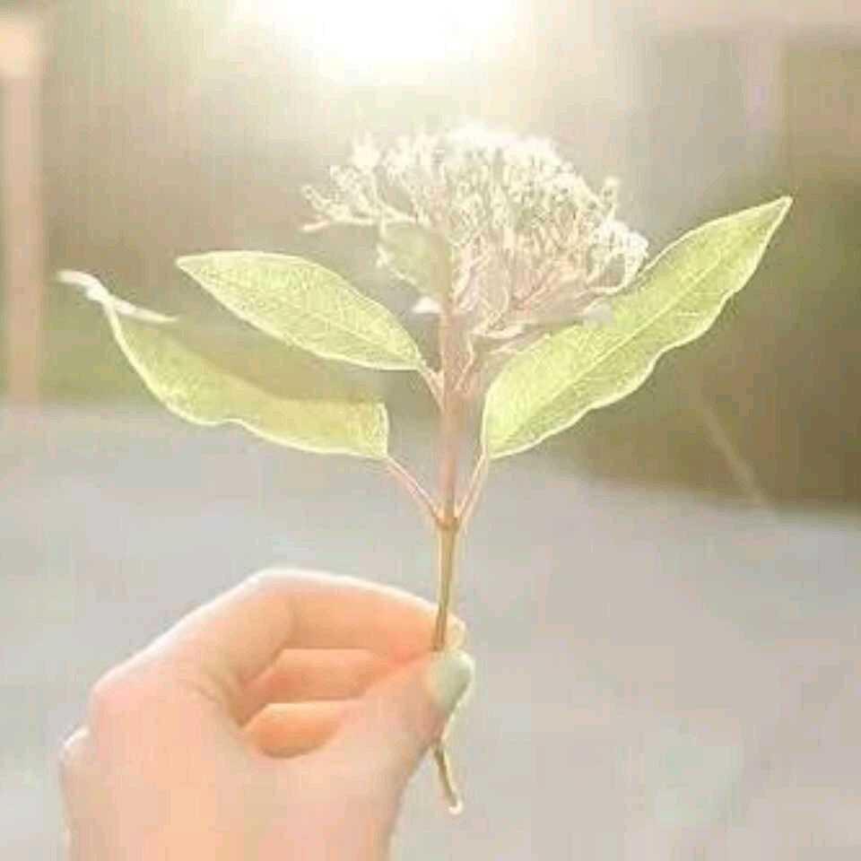 用户863817210509一飞