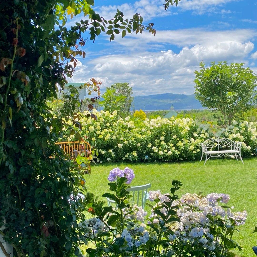 四季很美，如若你在......