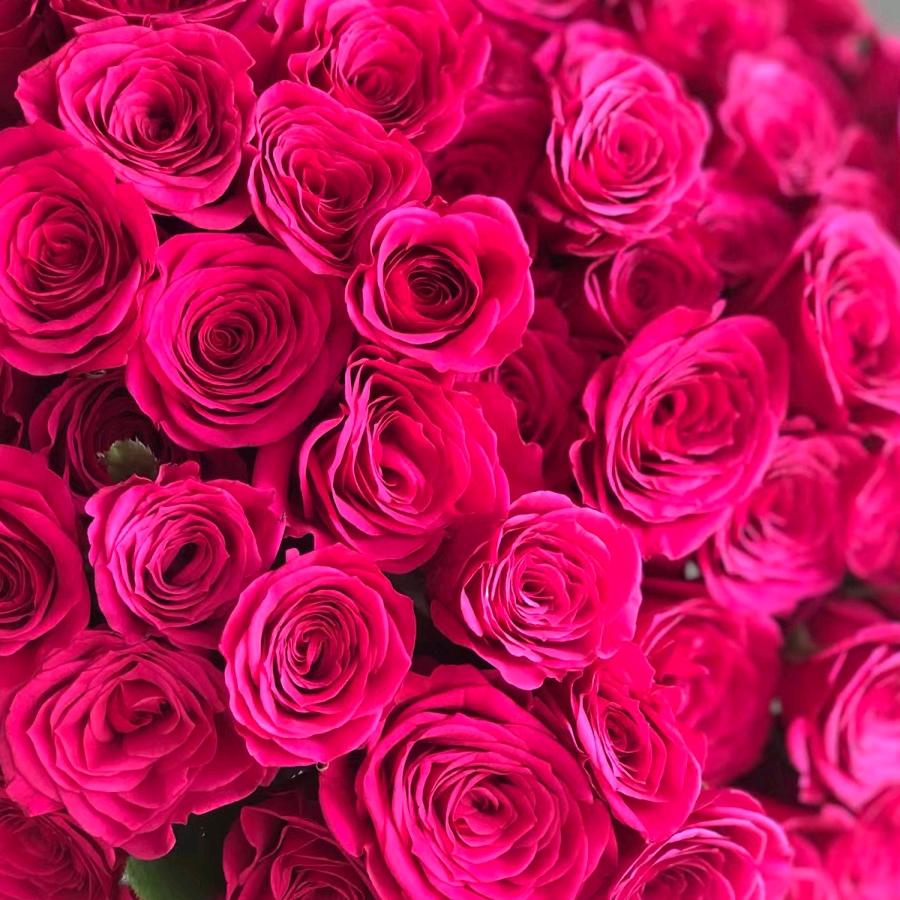 斗南陌上花开鲜花