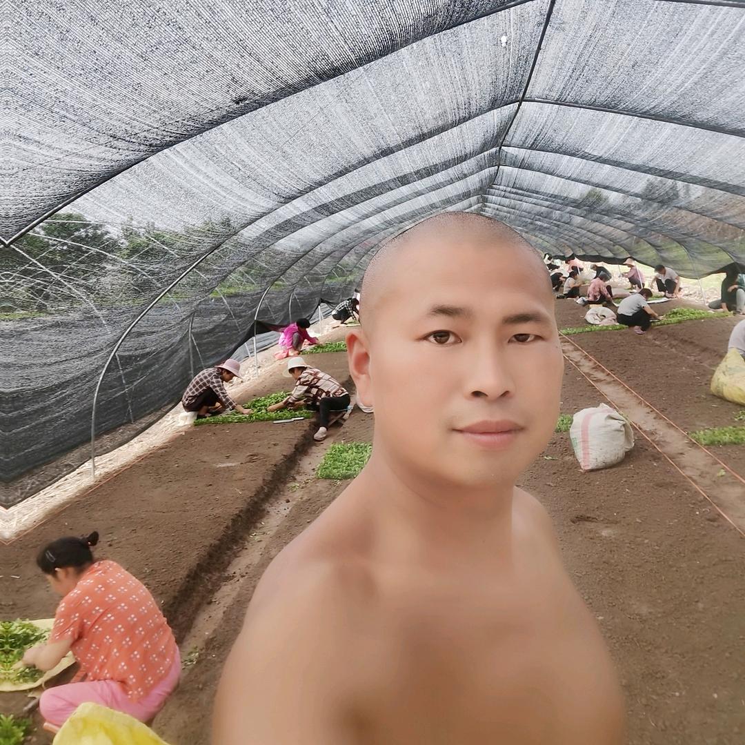 阿冬安徽300亩小叶黄杨基地