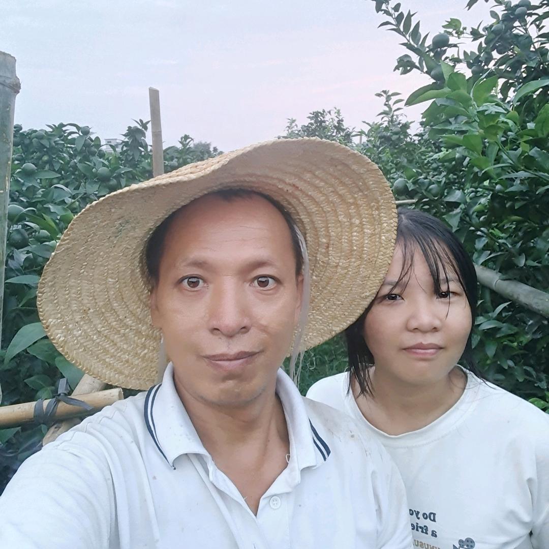 农沁