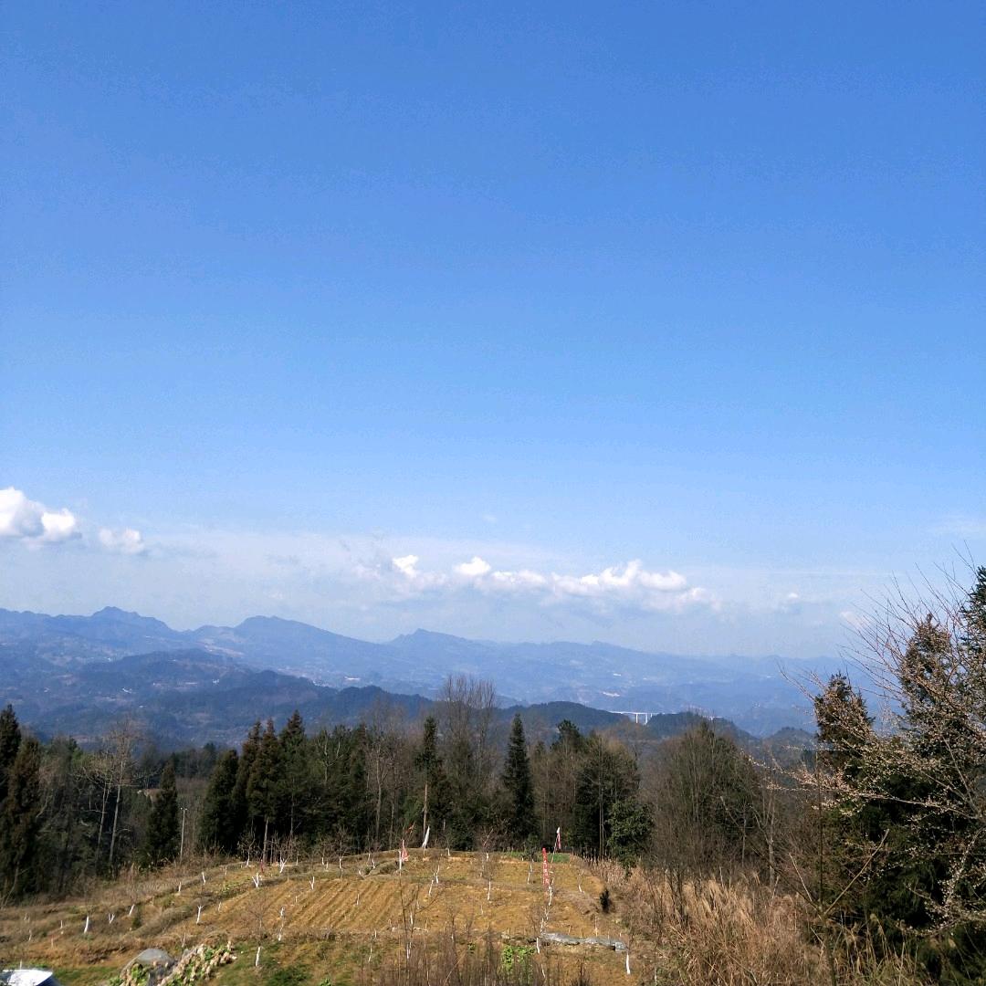 基层兵教师