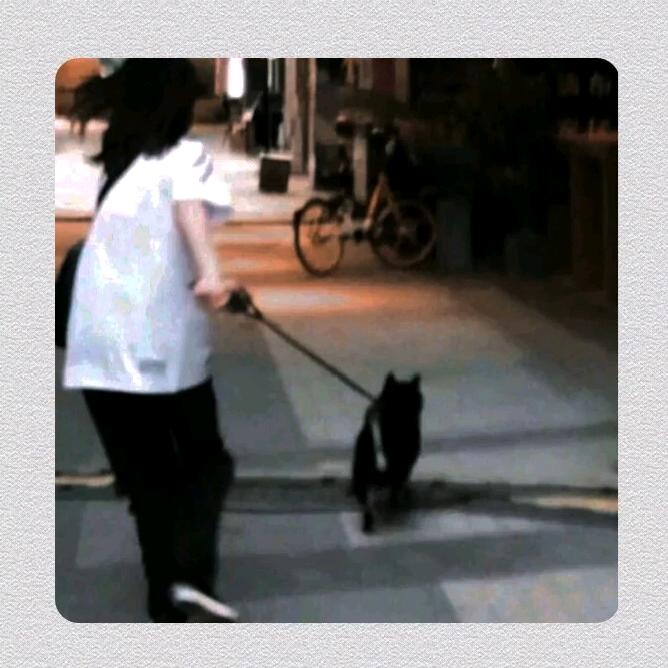 花生了什么树