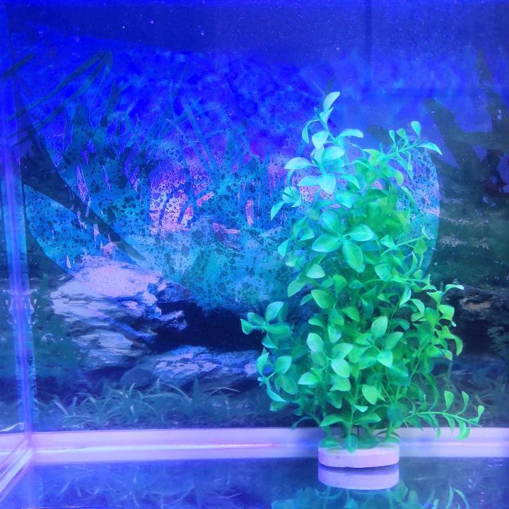 栉风沐雨