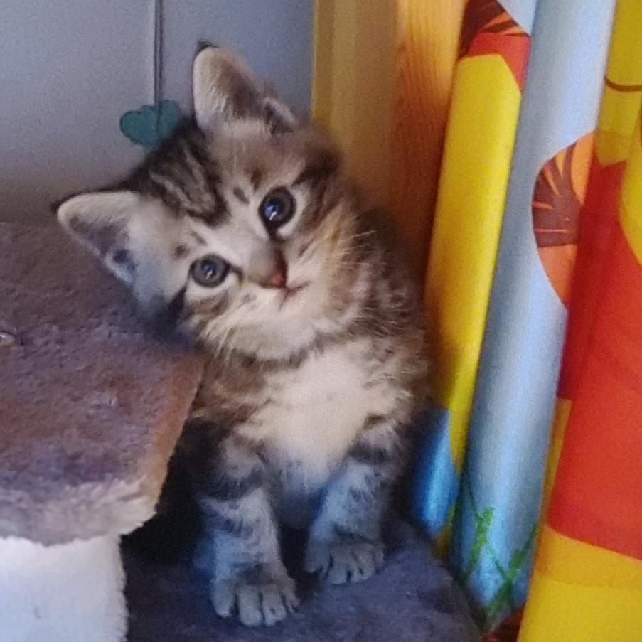 三星电视，厂家授权正规销售