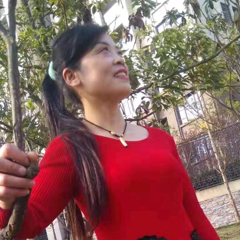 平淡是真1