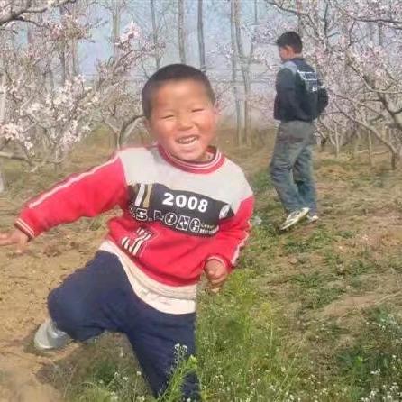 无心姐