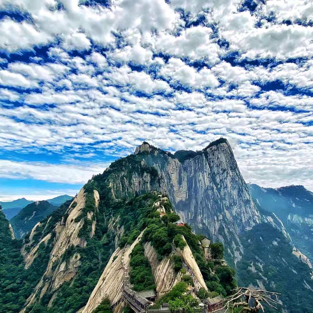 酒香——巷子深