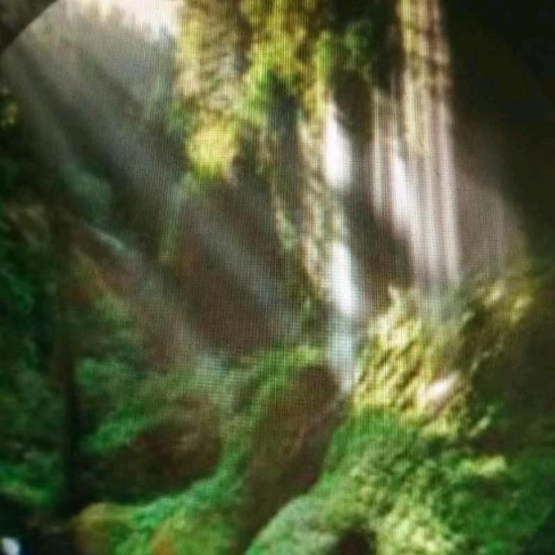 用户9444875798798顺其自然