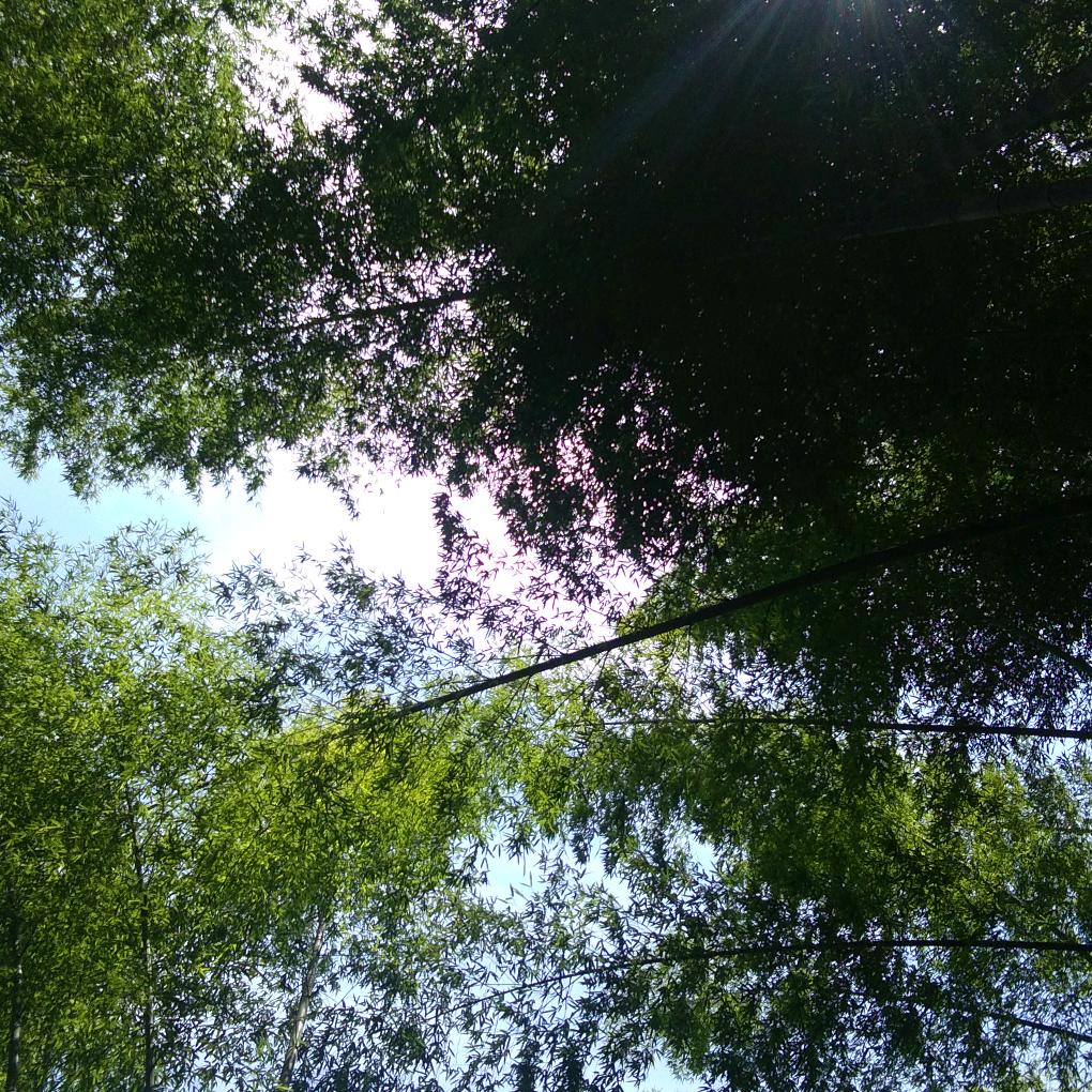 天下