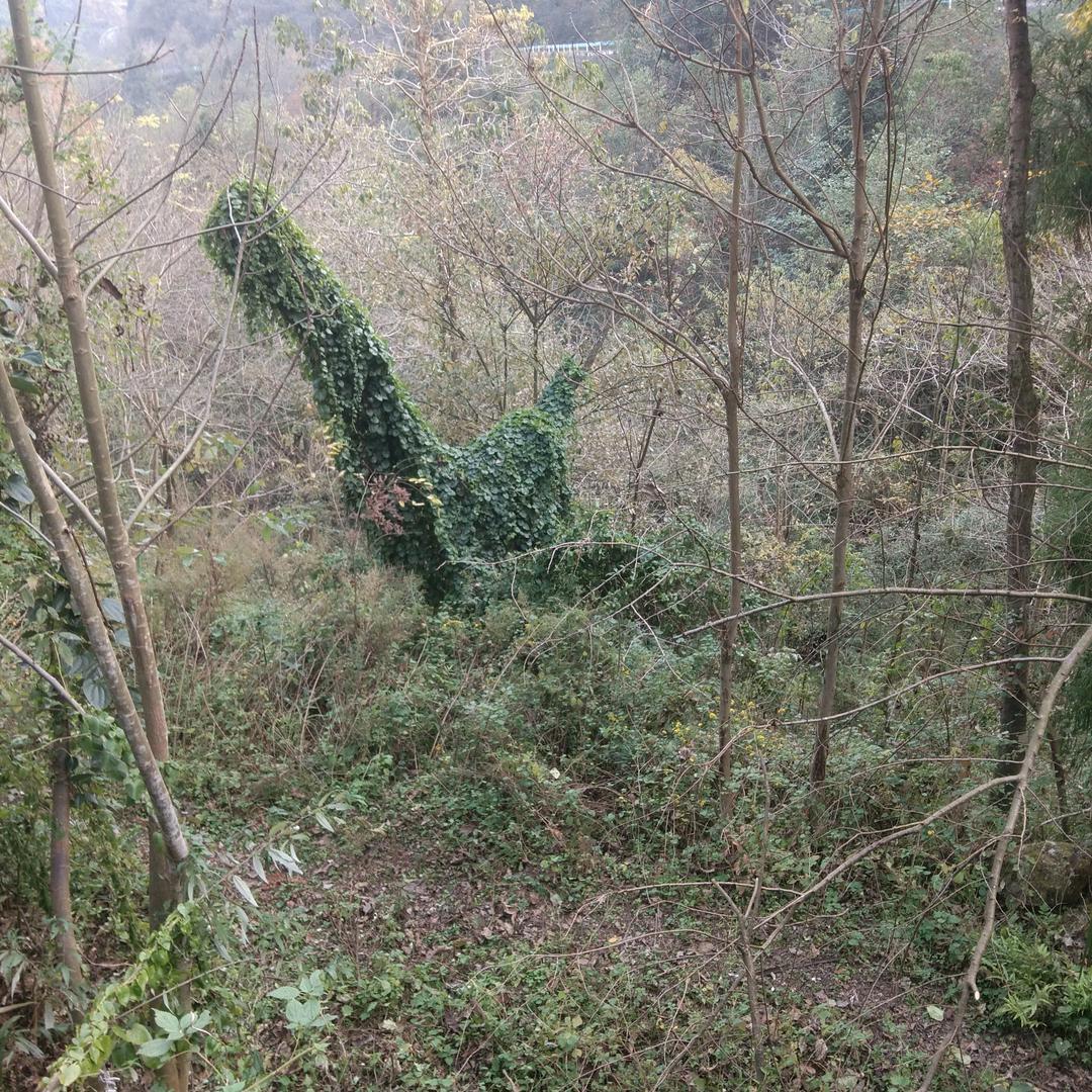 @韩