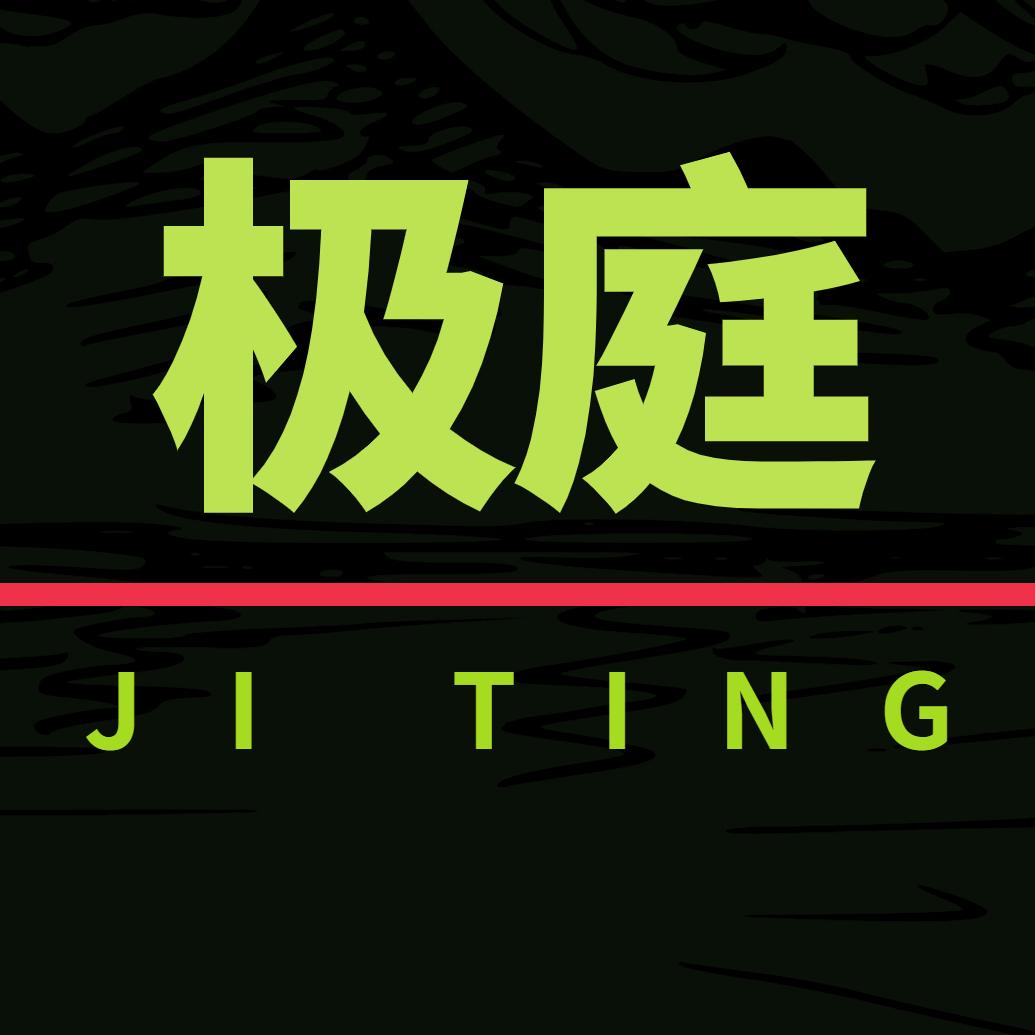 极庭数码
