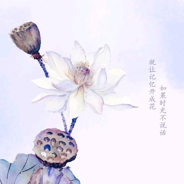 姑娘请善待自己