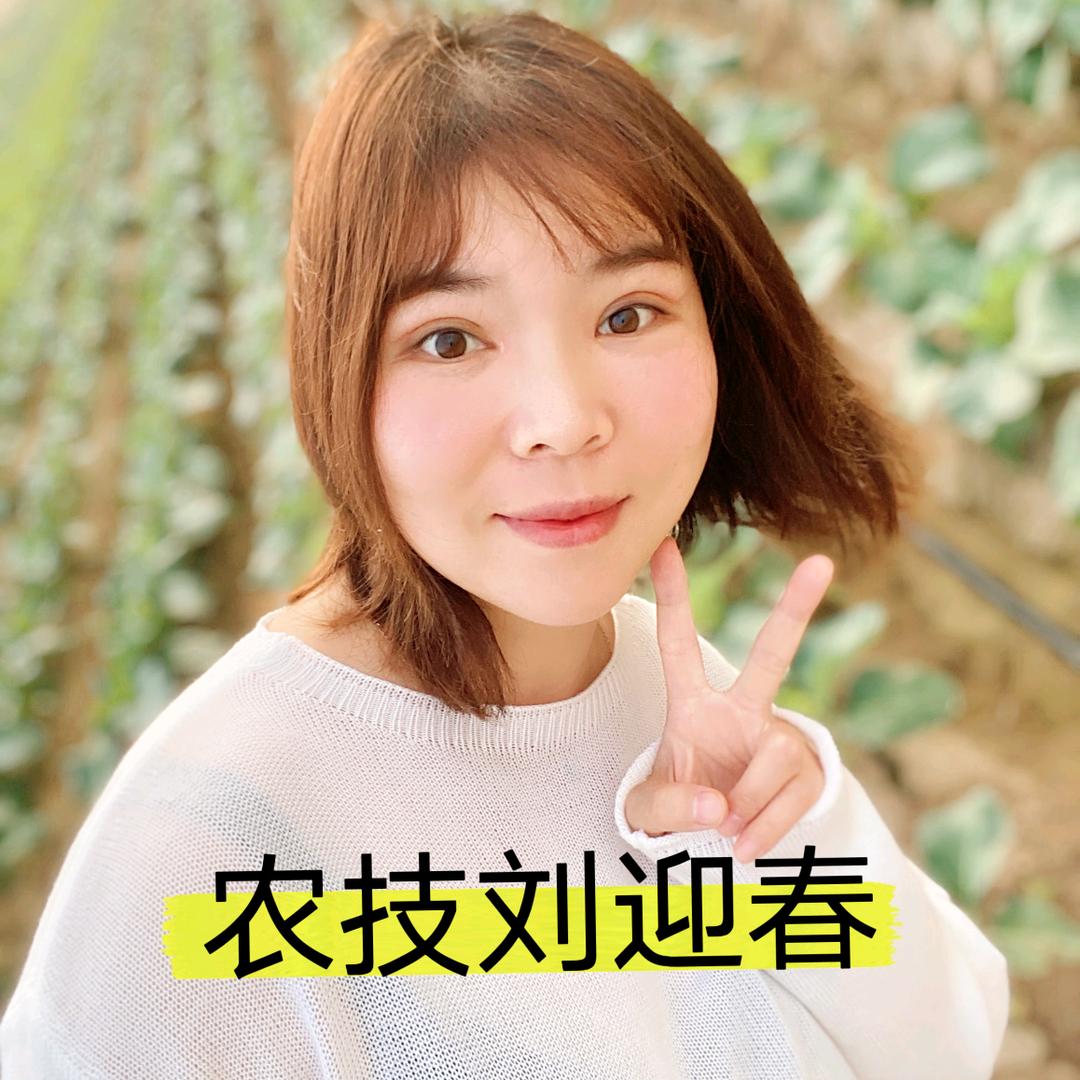 农技服务刘迎春