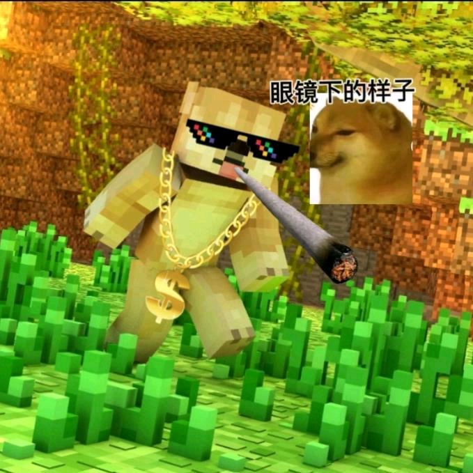 二哈君（被限流😭）