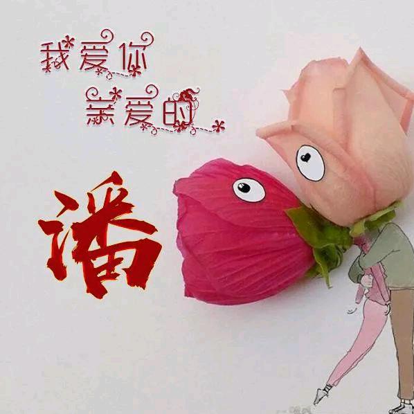 固镇县大美管道疏通服务有限公司