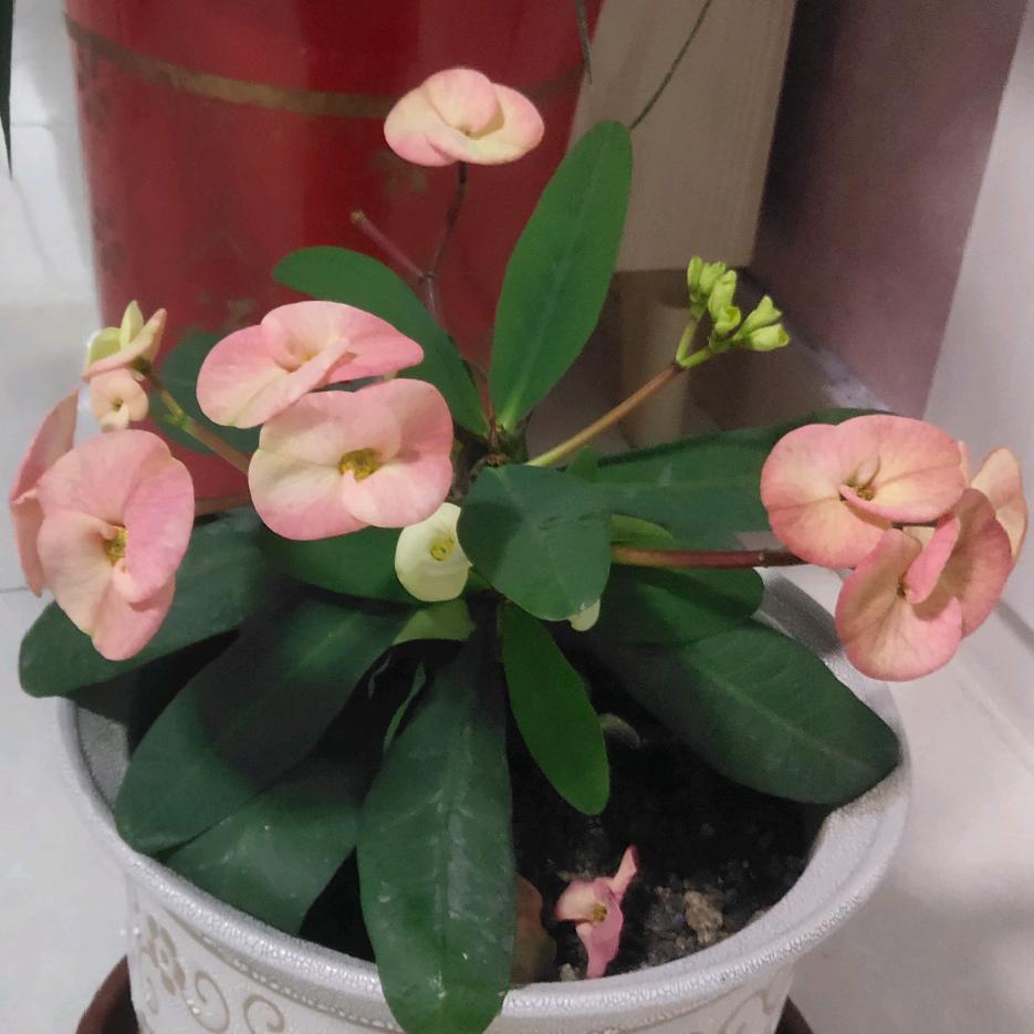 小雪故事会