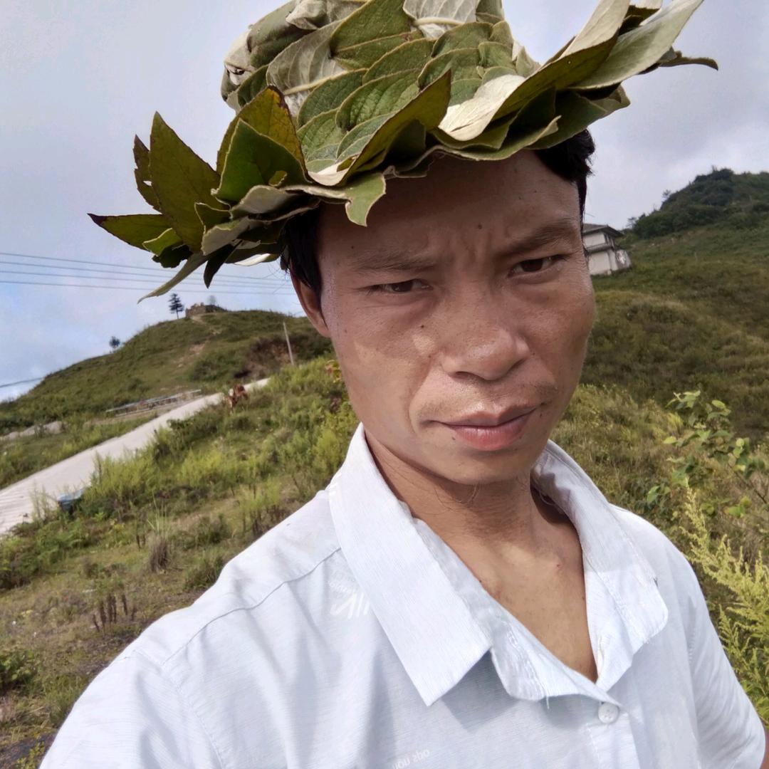 真心