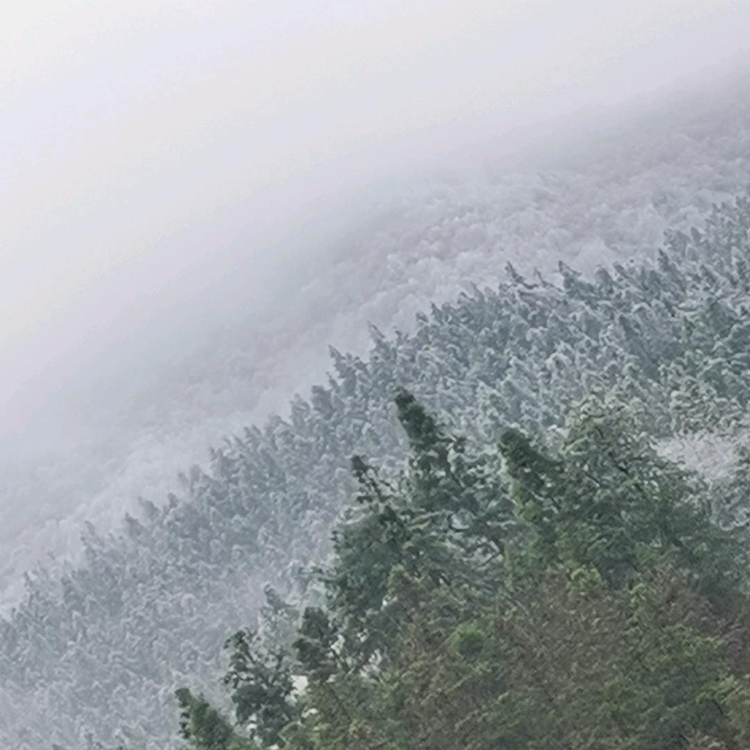 那些年，那些事