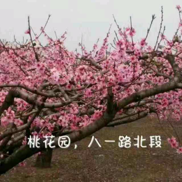 德行天下
