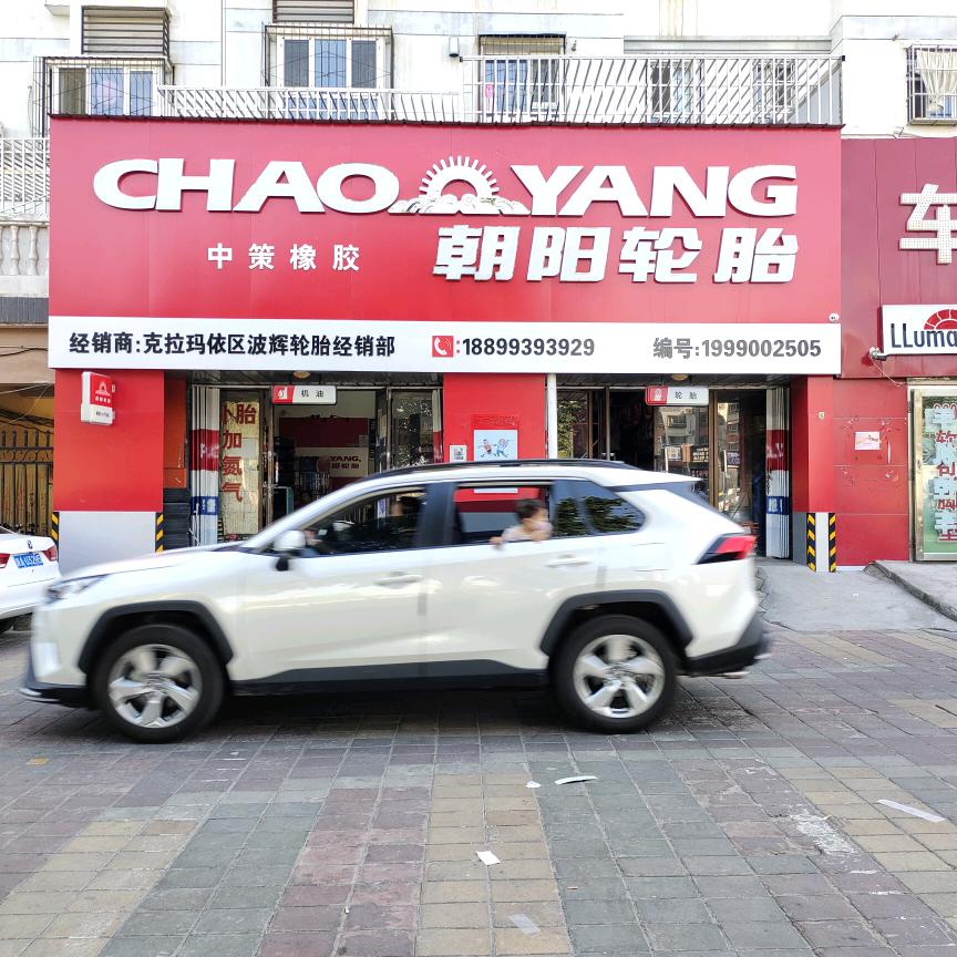 朝阳轮胎（碧水路店）