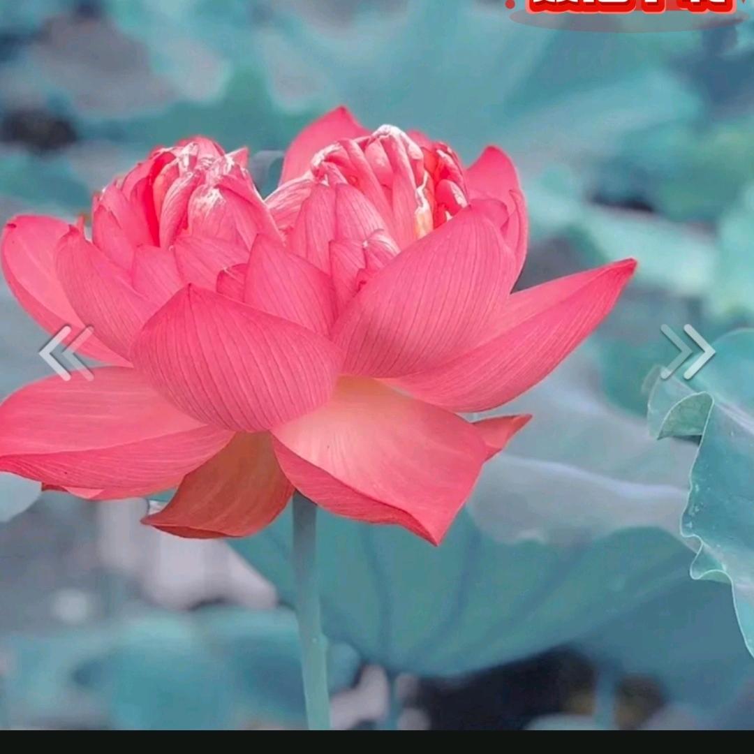 富源鞋业官方号