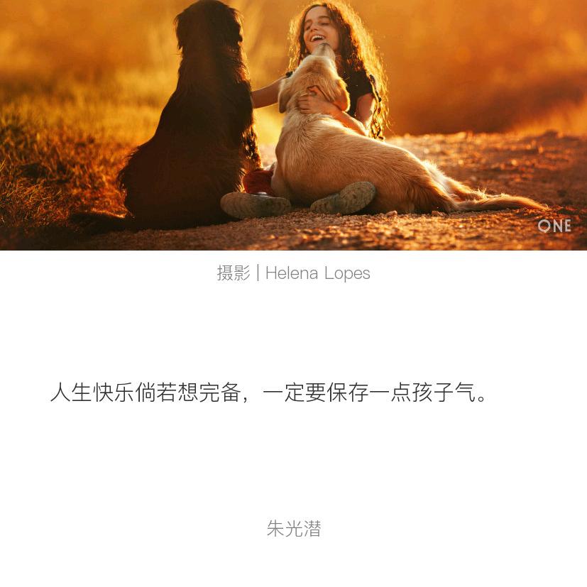 苦瓜