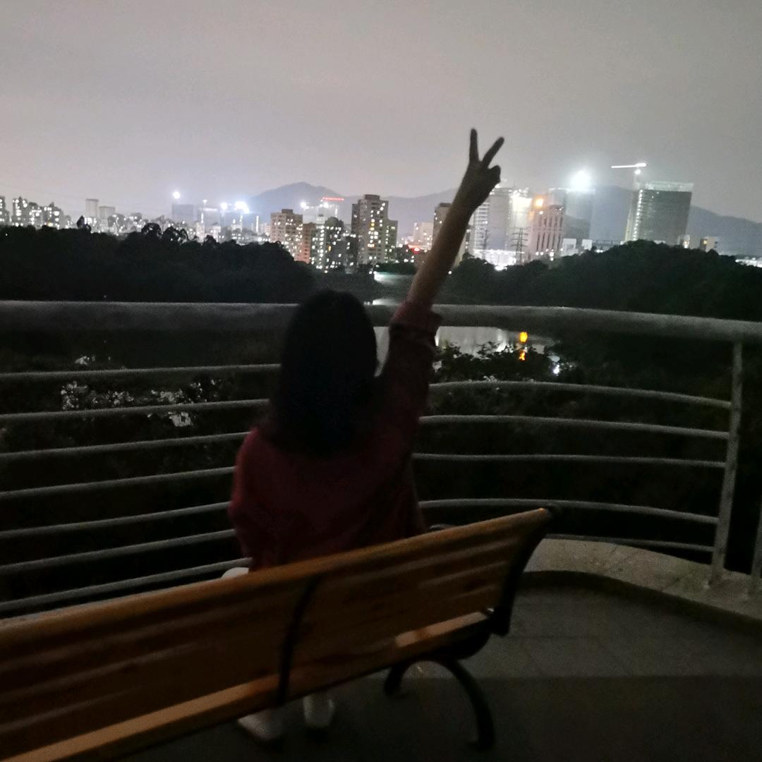 雁南飞
