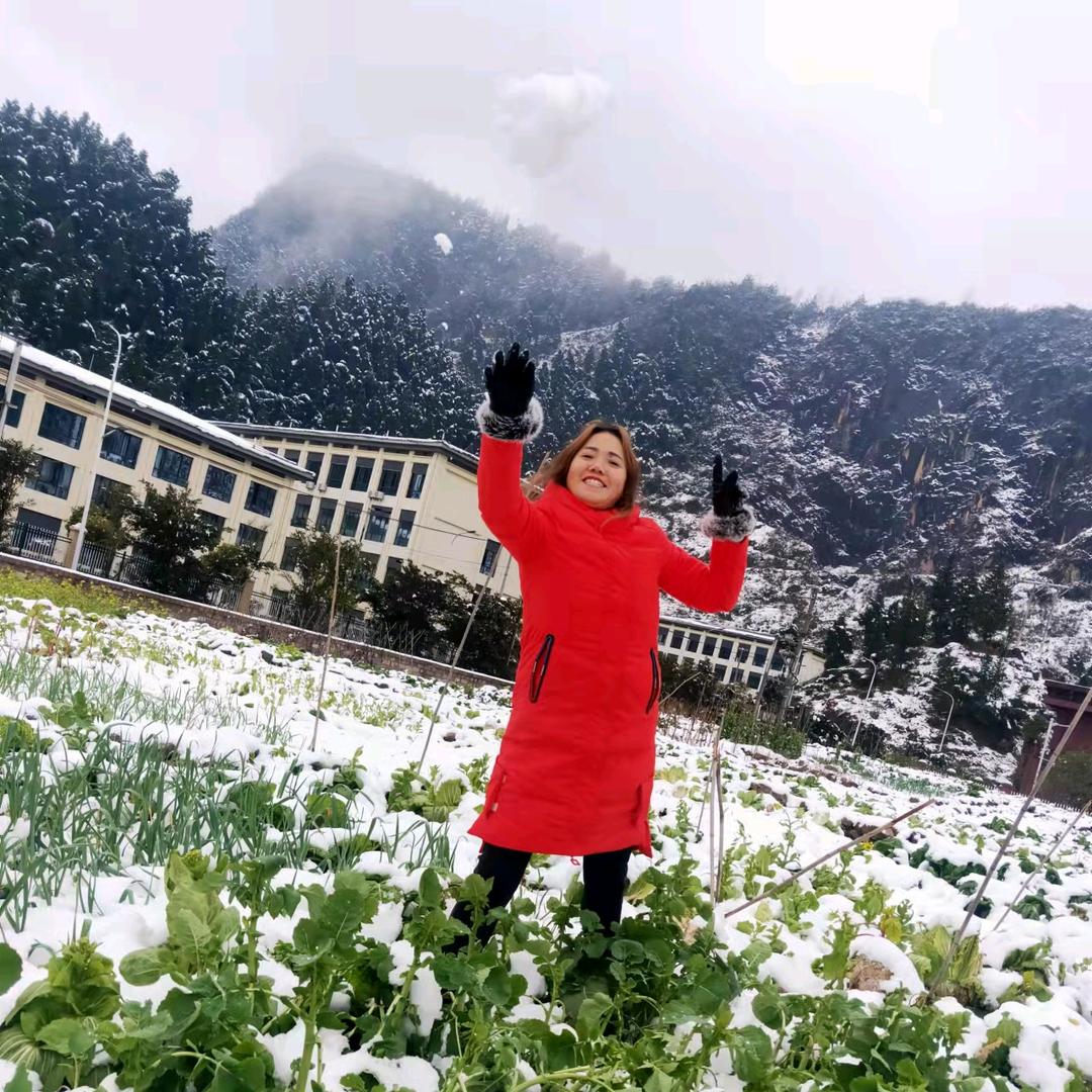 古月唯歌