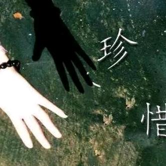 💃星辰大海💃