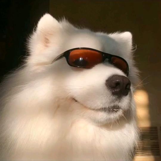 青秀区天天油门踩到底的那个