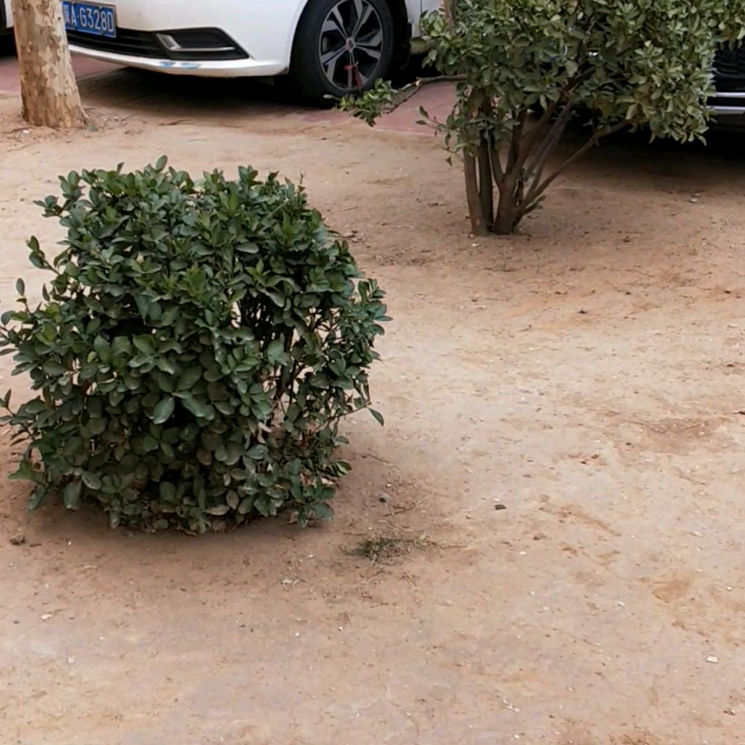 奔波开心每一天！