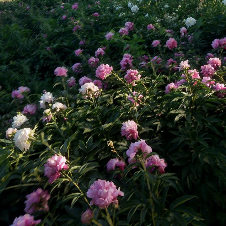 放下顾虑，迎接幸福