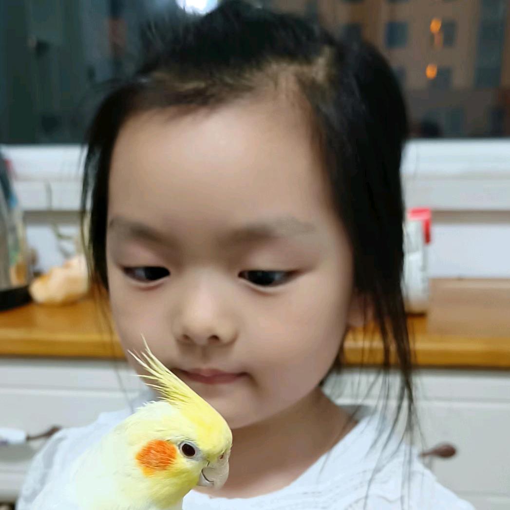柠檬草