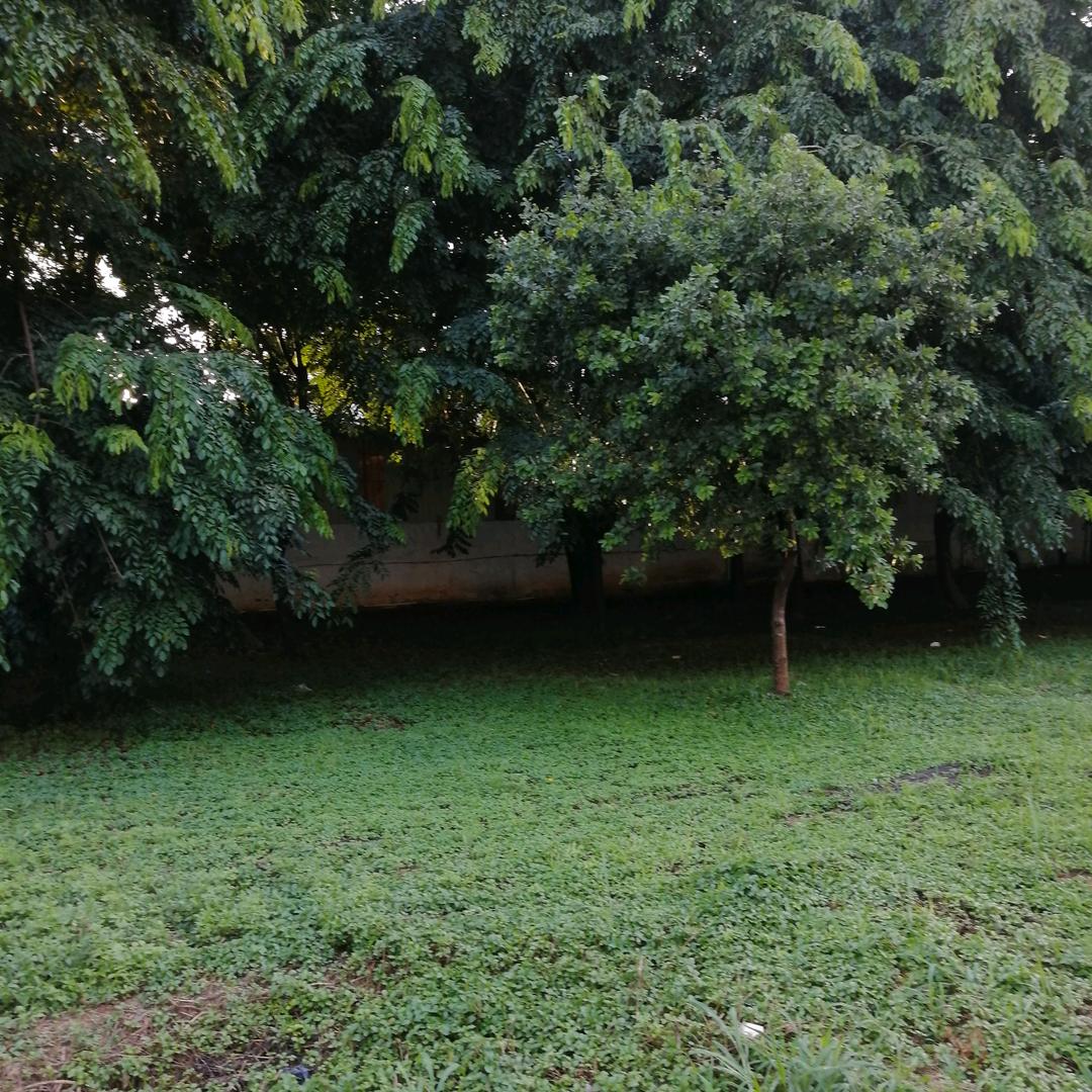 阿香《笑看人生》