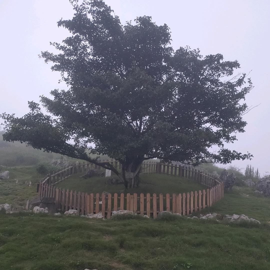 晓明