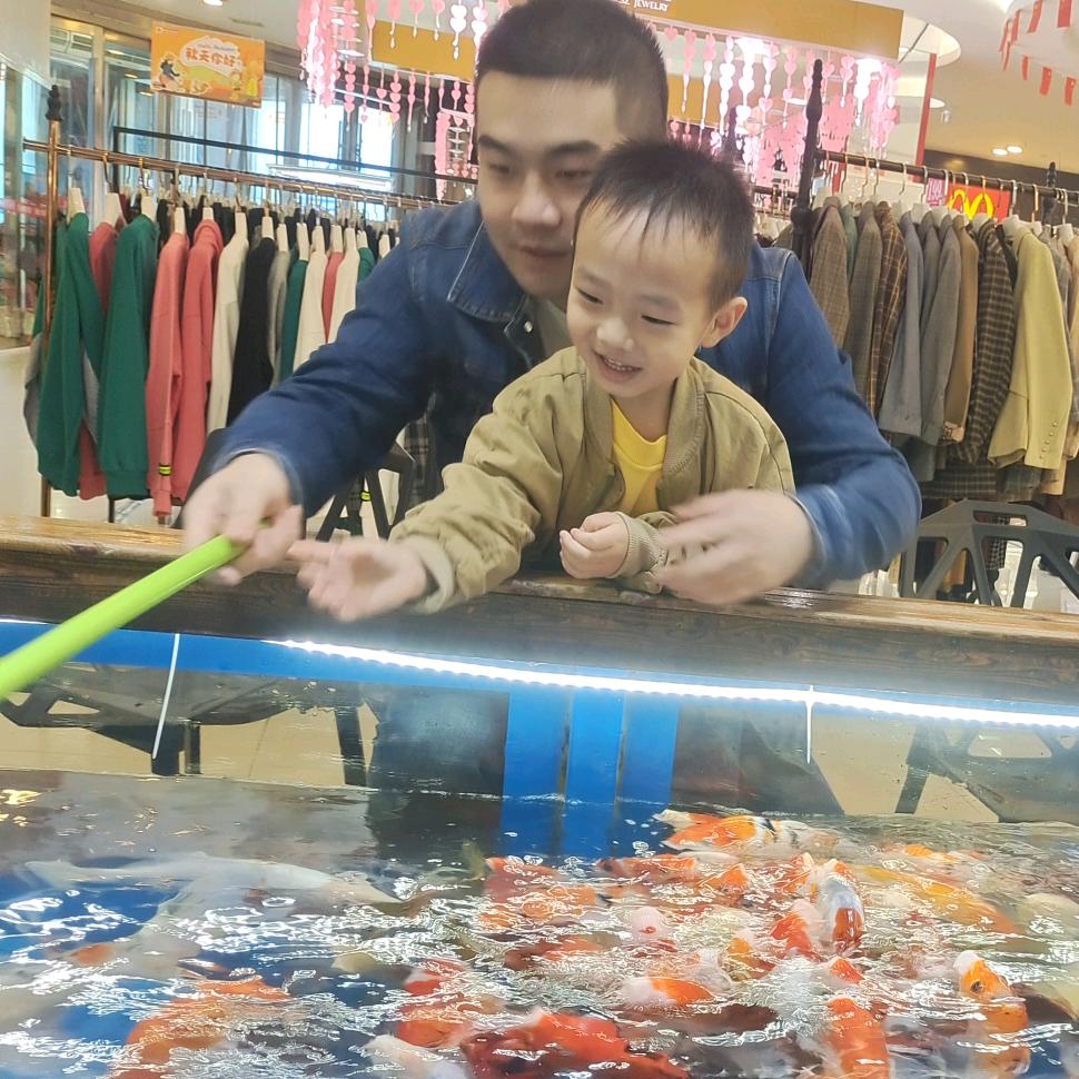 曹小曹