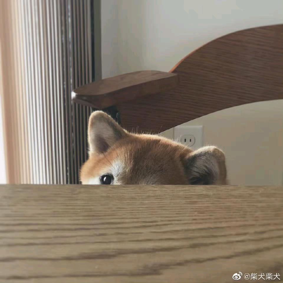 睿哲头像