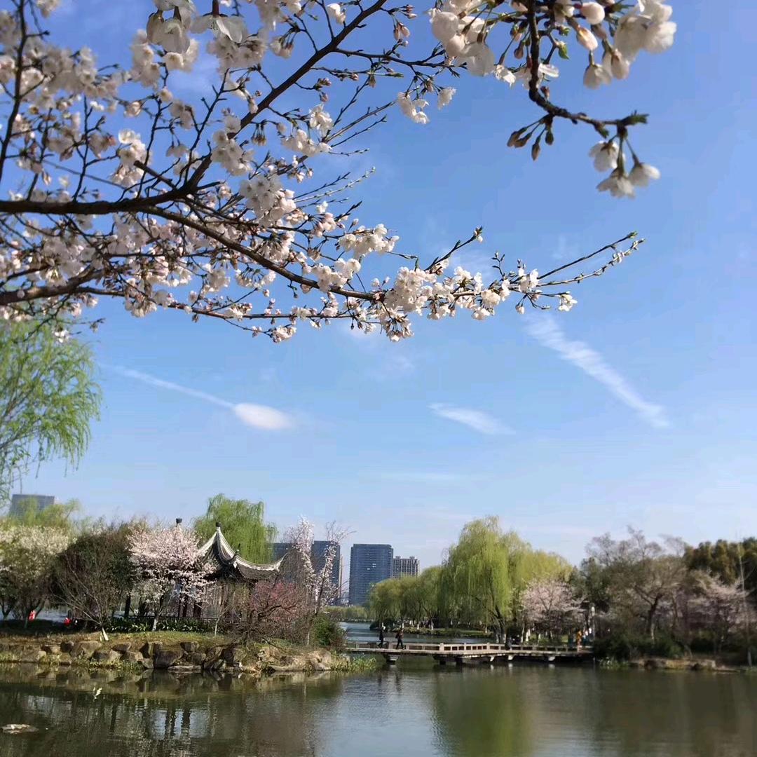 新风农庄（阿孟）