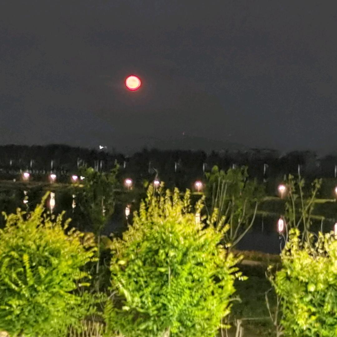 糯米团子的姥姥