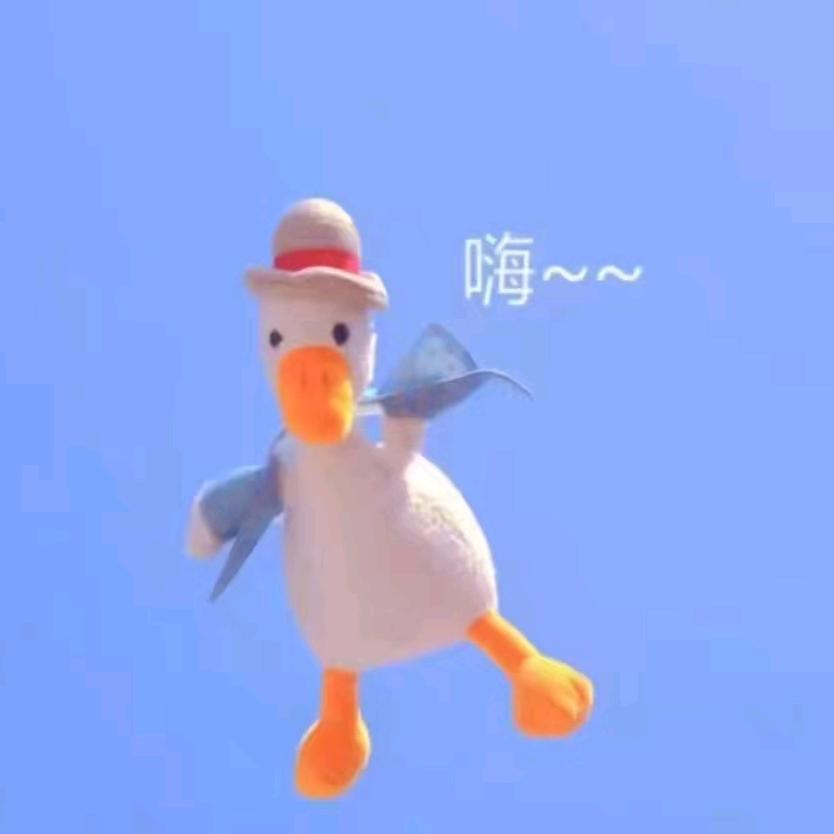 宛伊宫苒钦州店