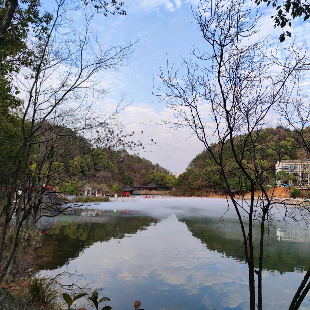 柚子橙