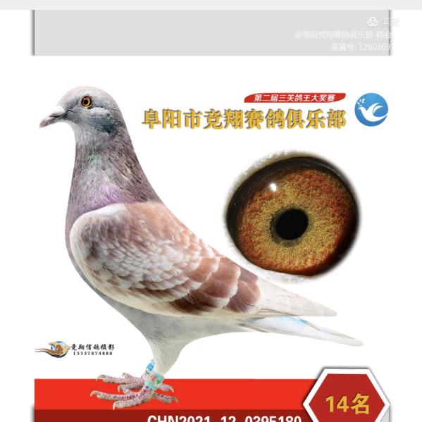 疯狂的石头