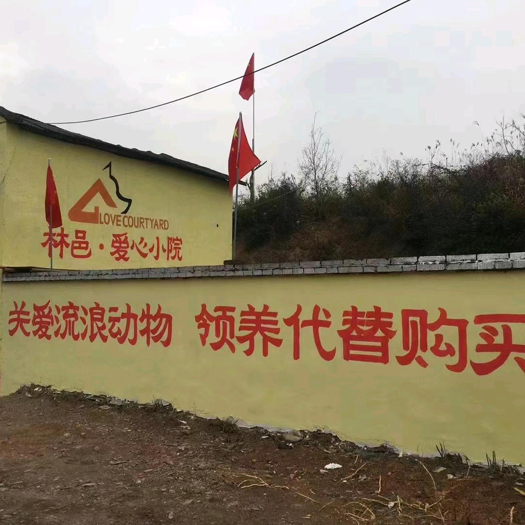 可乐妈