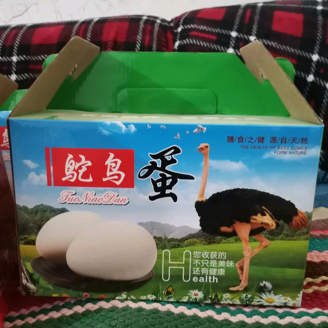 鸵鸟养殖人