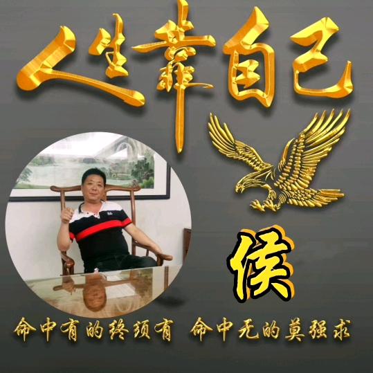 飞哥@