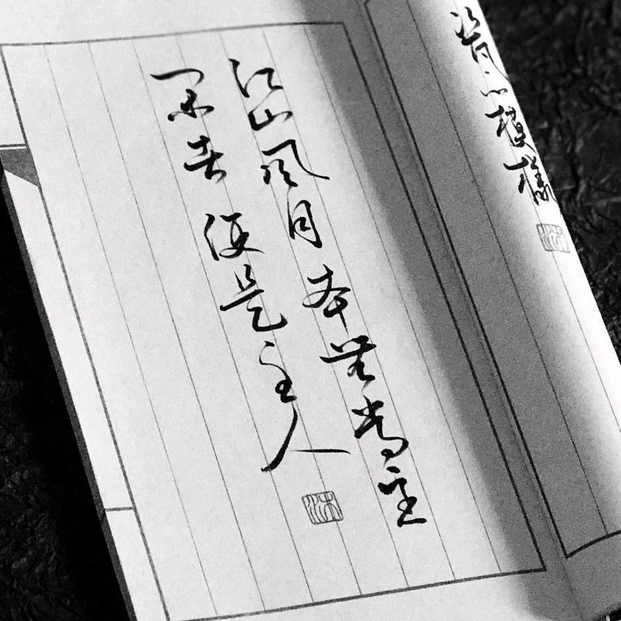 陆七衍
