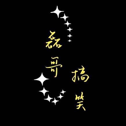 磊哥搞笑视频