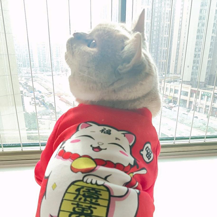 嘟嘟呀嘟嘟